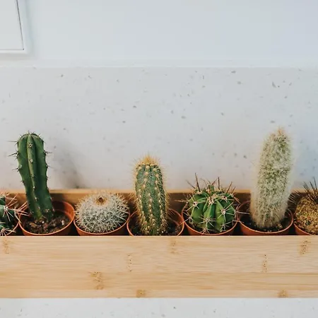 Διαμέρισμα Centrico Estudio Junto Al Parque Garcia Sanabria *