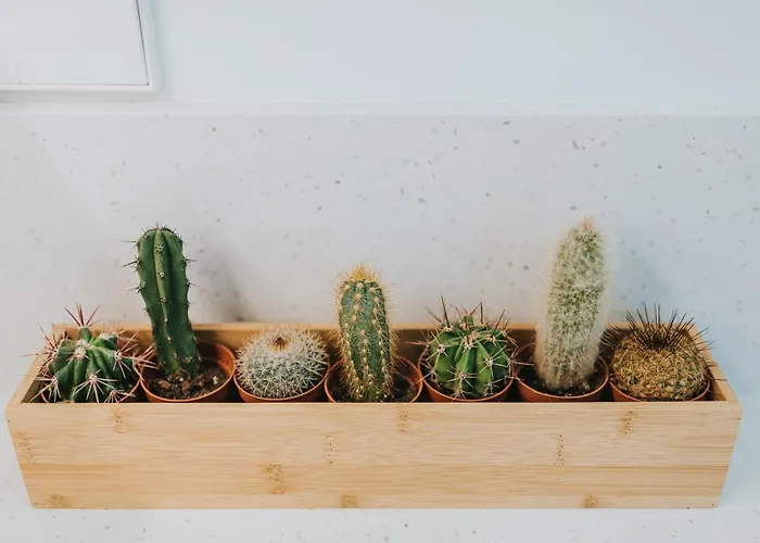 דירה Centrico Estudio Junto Al Parque Garcia Sanabria *