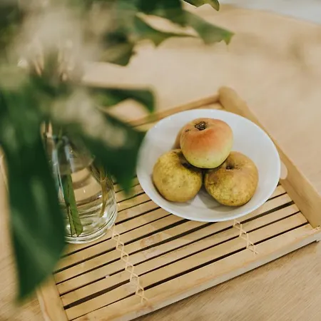 公寓 Centrico Estudio Junto Al Parque Garcia Sanabria *